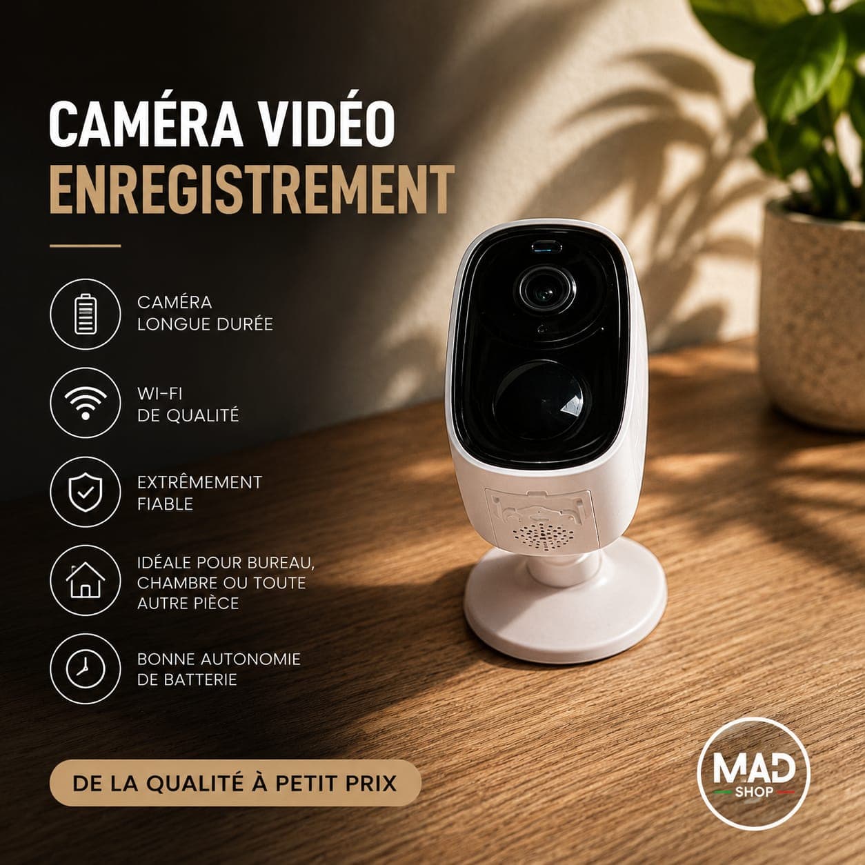 Caméra Vidéo Surveillance